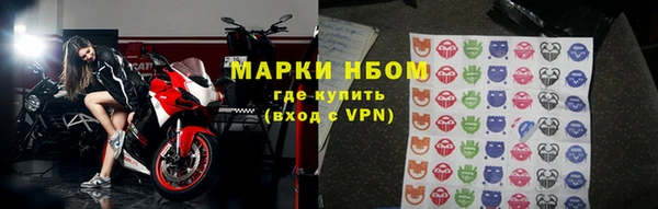 прущие грибы Богородск