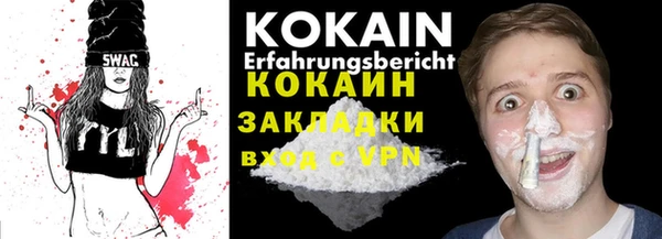 шишки Богородицк