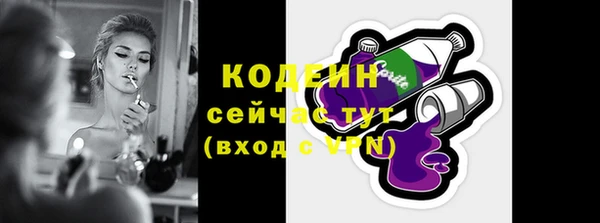 шишки Богородицк