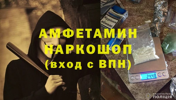 шишки Богородицк