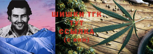 прущие грибы Богородск
