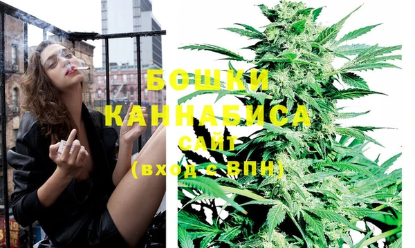 шишки Богородицк