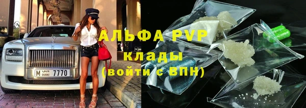 прущие грибы Богородск