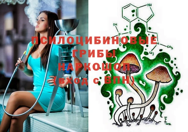 марки nbome Богданович