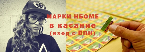 шишки Богородицк