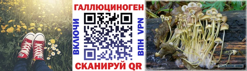 Галлюциногенные грибы прущие грибы  Купить где  Джанкой 